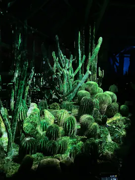 京都府立植物園　LIGHT CYCLES KYOTOに投稿された画像（2026/3/22）