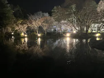 京都府立植物園　LIGHT CYCLES KYOTOに投稿された画像（2026/3/22）