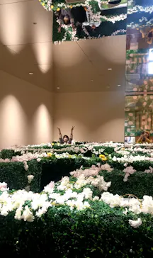 PLAY! PARK ERIC CARLE（プレイパーク エリック・カール）に投稿された画像（2026/3/22）