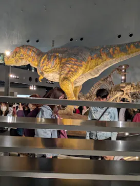 福井県立恐竜博物館に投稿された画像（2026/3/22）
