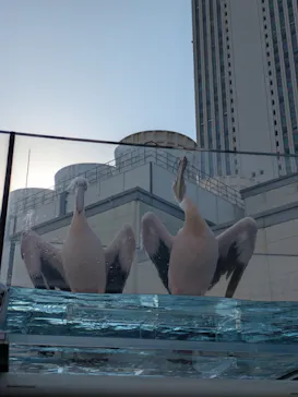 サンシャイン水族館に投稿された画像（2026/3/22）