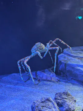 サンシャイン水族館に投稿された画像（2026/3/22）