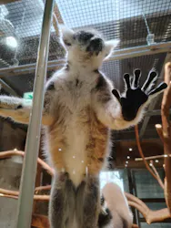 秋田市大森山動物園に投稿された画像（2026/3/22）