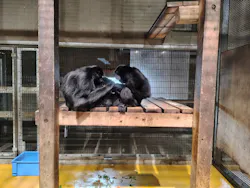 秋田市大森山動物園に投稿された画像（2026/3/22）