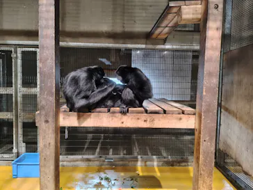 秋田市大森山動物園に投稿された画像（2026/3/22）