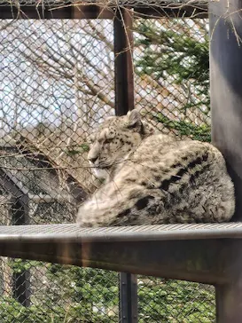 秋田市大森山動物園に投稿された画像（2026/3/22）
