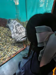 串本海中公園水族館に投稿された画像（2026/3/22）