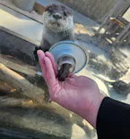 横浜・八景島シーパラダイスに投稿された画像（2026/3/22）