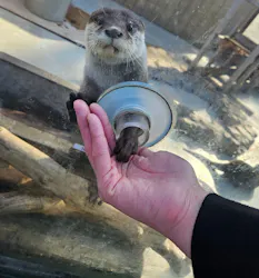 横浜・八景島シーパラダイスに投稿された画像（2026/3/22）