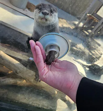 横浜・八景島シーパラダイスに投稿された画像（2026/3/22）