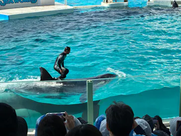 鴨川シーワールドに投稿された画像（2026/3/22）