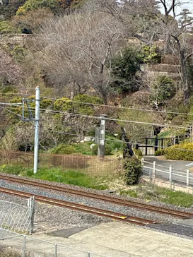 偕楽園本園に投稿された画像（2026/3/22）