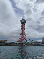 那珂川リバークルーズに投稿された画像（2026/3/22）