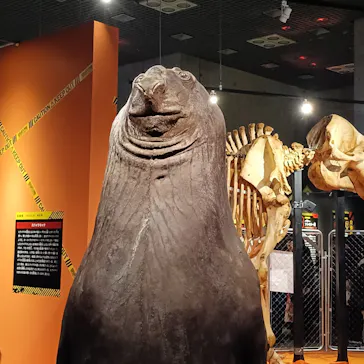 特別展「超危険生物展　科学で挑む生き物の本気」に投稿された画像（2026/3/22）