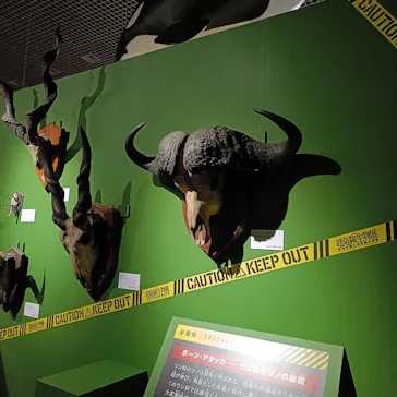 特別展「超危険生物展　科学で挑む生き物の本気」に投稿された画像（2026/3/22）