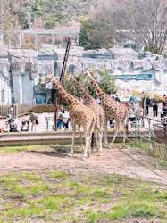 名古屋市東山動植物園に投稿された画像（2026/3/22）
