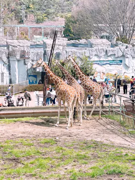 名古屋市東山動植物園に投稿された画像（2026/3/22）