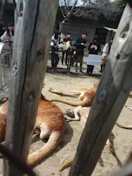 名古屋市東山動植物園に投稿された画像（2026/3/22）