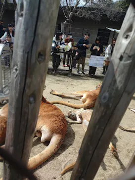 名古屋市東山動植物園に投稿された画像（2026/3/22）