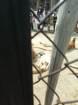 名古屋市東山動植物園に投稿された画像（2026/3/22）