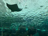 名古屋港水族館に投稿された画像（2026/3/22）
