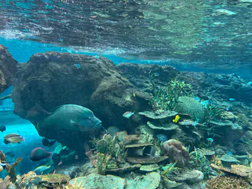 名古屋港水族館に投稿された画像（2026/3/22）