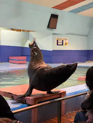 ゼロ距離水族館 伊勢シーパラダイスに投稿された画像（2026/3/22）