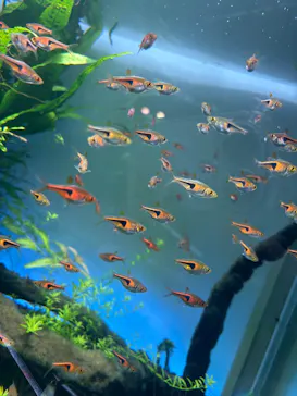 ゼロ距離水族館 伊勢シーパラダイスに投稿された画像（2026/3/22）