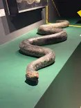 特別展「超危険生物展　科学で挑む生き物の本気」に投稿された画像（2026/3/22）