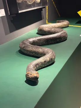 特別展「超危険生物展　科学で挑む生き物の本気」に投稿された画像（2026/3/22）