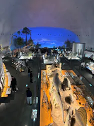 福井県立恐竜博物館に投稿された画像（2026/3/22）