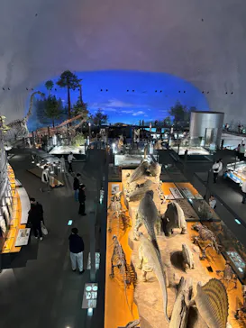 福井県立恐竜博物館に投稿された画像（2026/3/22）