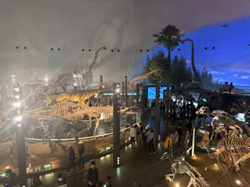 福井県立恐竜博物館に投稿された画像（2026/3/22）