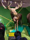 特別展「超危険生物展　科学で挑む生き物の本気」に投稿された画像（2026/3/22）