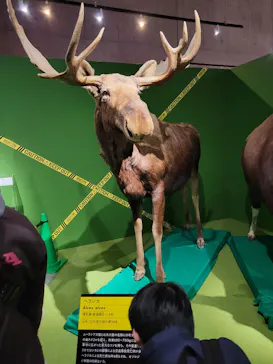 特別展「超危険生物展　科学で挑む生き物の本気」に投稿された画像（2026/3/22）