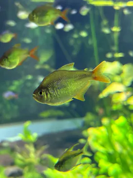 カワスイ 川崎⽔族館に投稿された画像（2026/3/22）