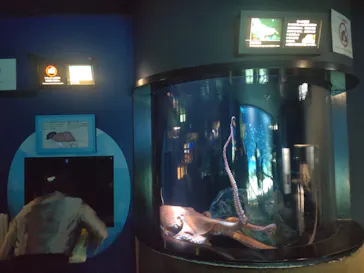 サンシャイン水族館に投稿された画像（2026/3/22）