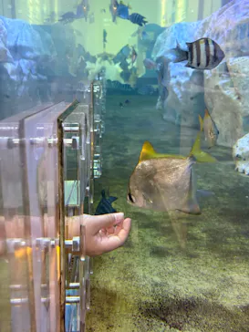 南知多ビーチランド＆南知多おもちゃ王国に投稿された画像（2026/3/22）