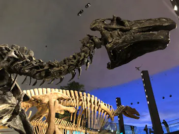 福井県立恐竜博物館に投稿された画像（2026/3/22）