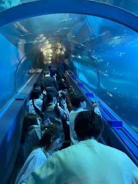 横浜・八景島シーパラダイスに投稿された画像（2026/3/22）