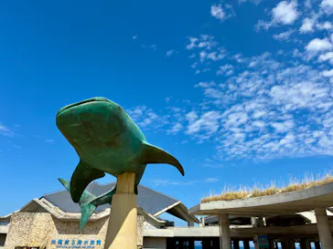 沖縄美ら海水族館に投稿された画像（2026/3/22）