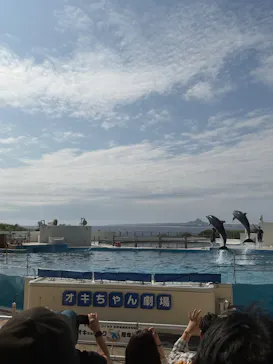 沖縄美ら海水族館に投稿された画像（2026/3/22）