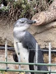 サンシャイン水族館に投稿された画像（2026/3/22）