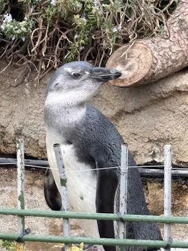 サンシャイン水族館に投稿された画像（2026/3/22）