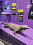 特別展「超危険生物展　科学で挑む生き物の本気」に投稿された画像（2026/3/22）