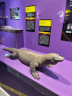 特別展「超危険生物展　科学で挑む生き物の本気」に投稿された画像（2026/3/22）