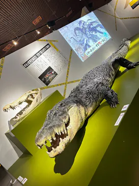 特別展「超危険生物展　科学で挑む生き物の本気」に投稿された画像（2026/3/22）