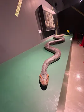 特別展「超危険生物展　科学で挑む生き物の本気」に投稿された画像（2026/3/22）