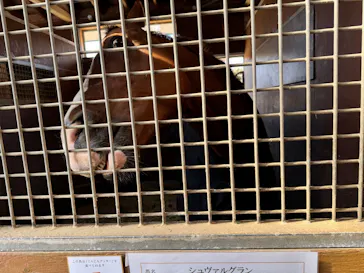 ノーザンホースパークに投稿された画像（2026/3/22）