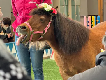 ノーザンホースパークに投稿された画像（2026/3/22）